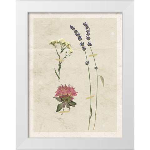 Pressed Lavender I White Modern Wood Framed Art Print by Robinson, Carol