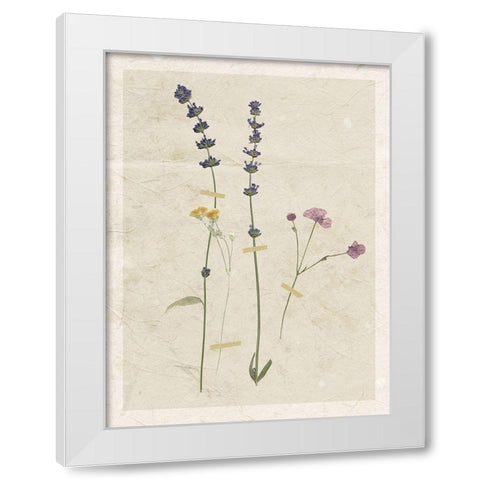 Pressed Lavender White Modern Wood Framed Art Print by Robinson, Carol