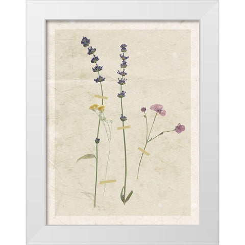Pressed Lavender White Modern Wood Framed Art Print by Robinson, Carol