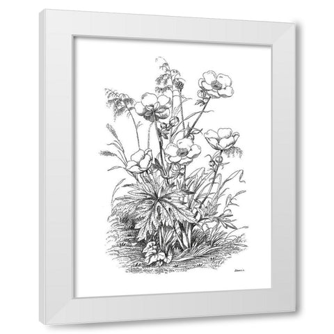 Botanical Black and White Modern Wood Framed Art Print by Donovan, Kelly