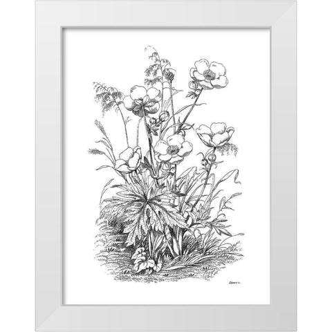 Botanical Black and White Modern Wood Framed Art Print by Donovan, Kelly