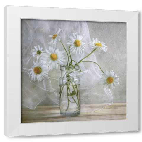 Daisies White Modern Wood Framed Art Print by Disher, Mandy