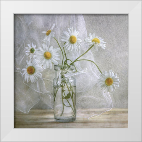 Daisies White Modern Wood Framed Art Print by Disher, Mandy