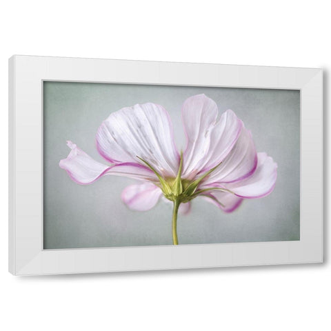 Textured Floral White Modern Wood Framed Art Print by Disher, Mandy