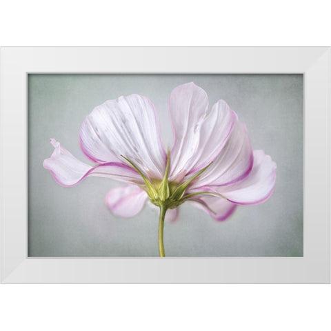 Textured Floral White Modern Wood Framed Art Print by Disher, Mandy