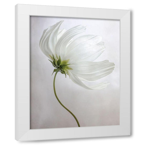 Etherial White Modern Wood Framed Art Print by Disher, Mandy