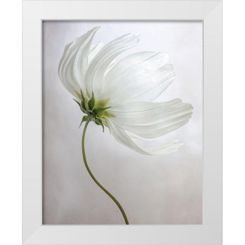 Etherial White Modern Wood Framed Art Print by Disher, Mandy