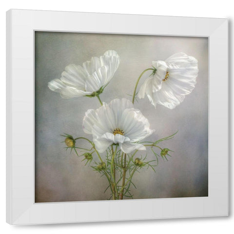 Still Life II White Modern Wood Framed Art Print by Disher, Mandy