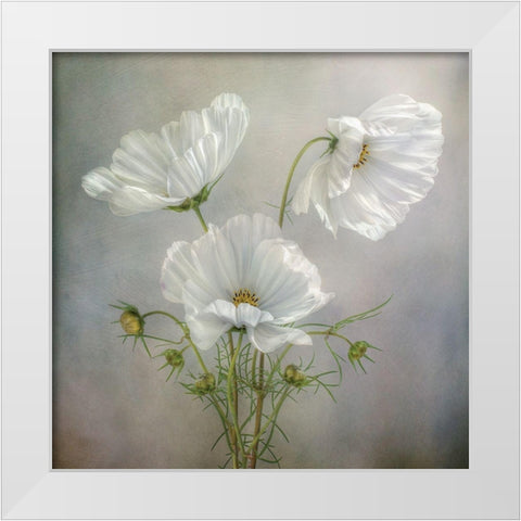 Still Life II White Modern Wood Framed Art Print by Disher, Mandy