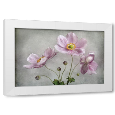 Textured Floral White Modern Wood Framed Art Print by Disher, Mandy