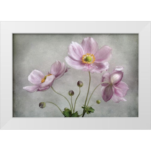 Textured Floral White Modern Wood Framed Art Print by Disher, Mandy