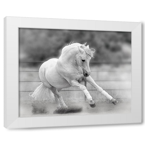 All For Show White Modern Wood Framed Art Print by Klopfer, Lee