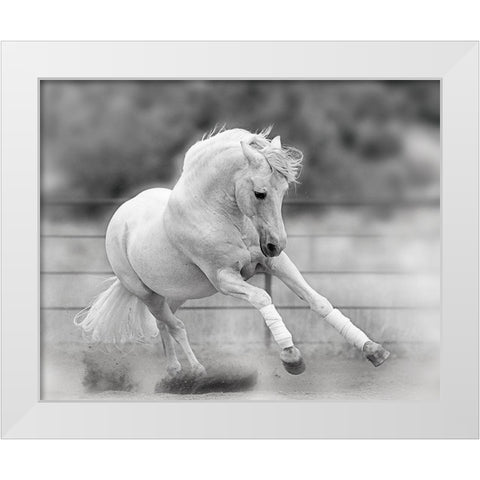 All For Show White Modern Wood Framed Art Print by Klopfer, Lee