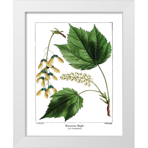 Mountain Maple White Modern Wood Framed Art Print by Donovan, Kelly