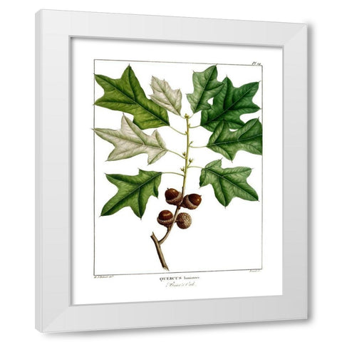 Bears Oak White Modern Wood Framed Art Print by Donovan, Kelly