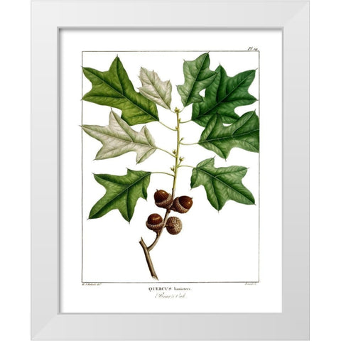 Bears Oak White Modern Wood Framed Art Print by Donovan, Kelly