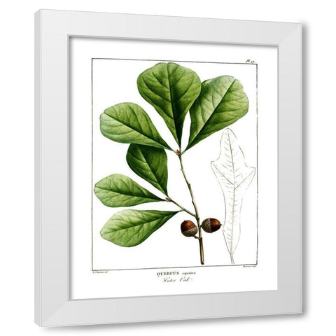 White Oak White Modern Wood Framed Art Print by Donovan, Kelly
