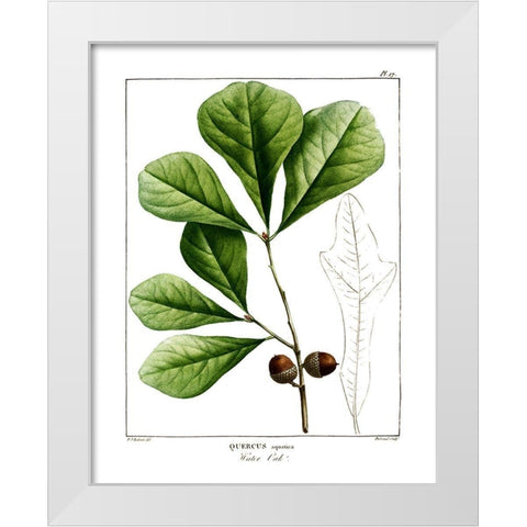 White Oak White Modern Wood Framed Art Print by Donovan, Kelly