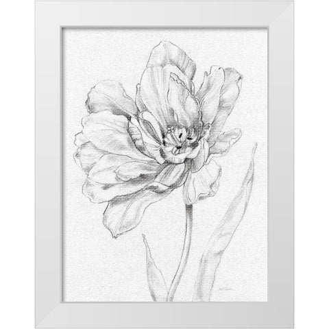 Tulip Sketch White Modern Wood Framed Art Print by Robinson, Carol