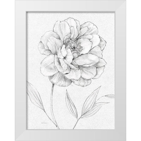 Peony Sketch White Modern Wood Framed Art Print by Robinson, Carol