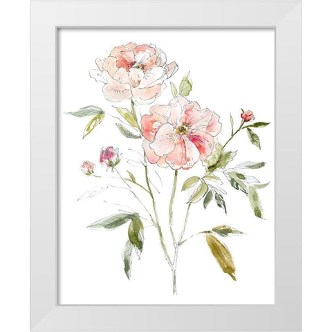 Sketchbook Cottage Rose I White Modern Wood Framed Art Print by Robinson, Carol