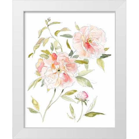 Sketchbook Cottage Rose II White Modern Wood Framed Art Print by Robinson, Carol