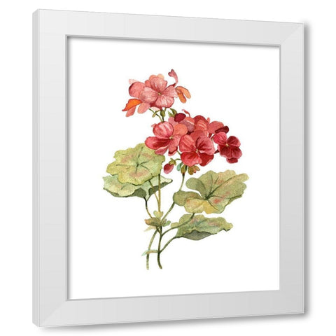 Scarlet Geranium White Modern Wood Framed Art Print by Robinson, Carol
