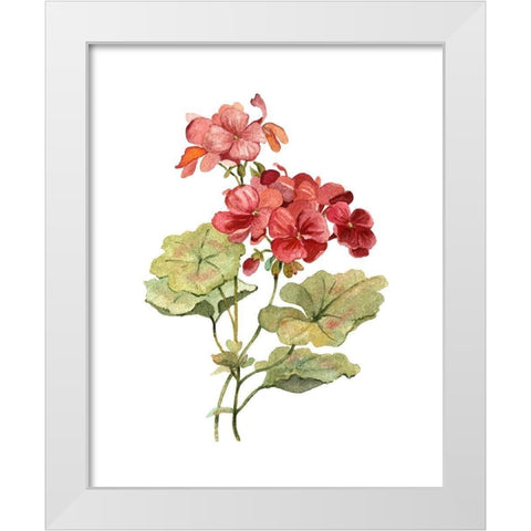Scarlet Geranium White Modern Wood Framed Art Print by Robinson, Carol