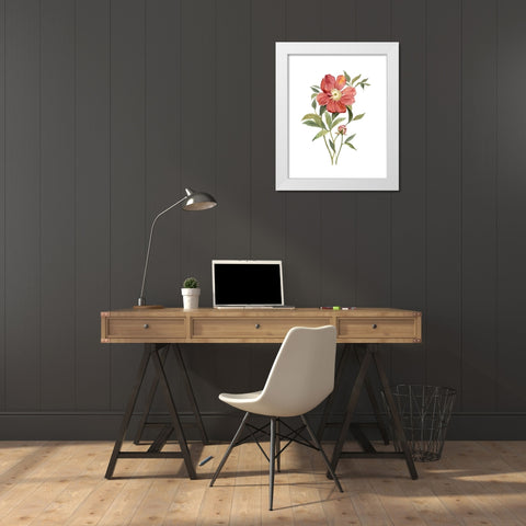 Scarlet Peony White Modern Wood Framed Art Print by Robinson, Carol