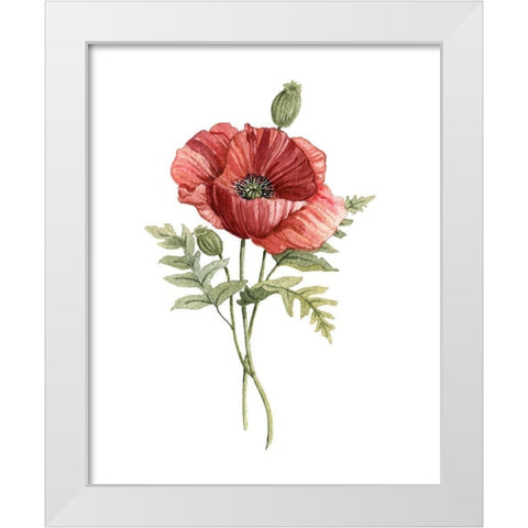 Scarlet Poppy White Modern Wood Framed Art Print by Robinson, Carol