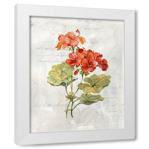 Linen Geranium White Modern Wood Framed Art Print by Robinson, Carol