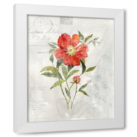 Linen Peony White Modern Wood Framed Art Print by Robinson, Carol