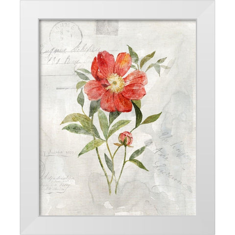 Linen Peony White Modern Wood Framed Art Print by Robinson, Carol