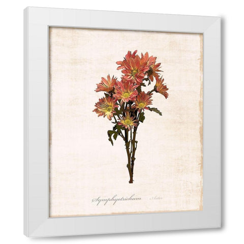 Sketchbook Aster White Modern Wood Framed Art Print by Carpentieri, Natalie