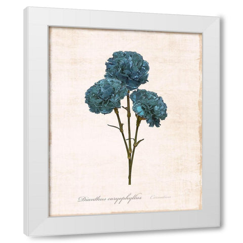 Sketchbook Carnation White Modern Wood Framed Art Print by Carpentieri, Natalie