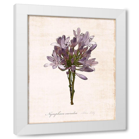Sketchbook Lily White Modern Wood Framed Art Print by Carpentieri, Natalie