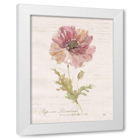 Soft Poppy White Modern Wood Framed Art Print by Robinson, Carol