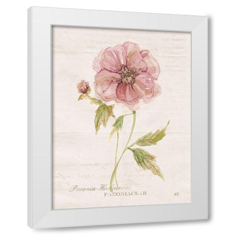 Soft Peony White Modern Wood Framed Art Print by Robinson, Carol