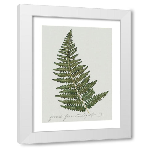 Fern Studies I White Modern Wood Framed Art Print by Robinson, Carol