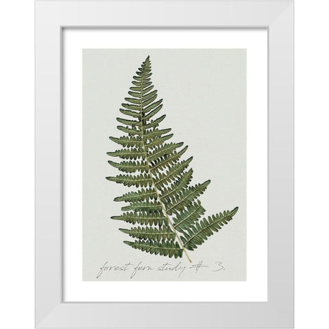 Fern Studies I White Modern Wood Framed Art Print by Robinson, Carol