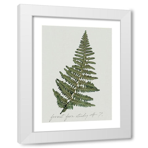 Fern Studies II White Modern Wood Framed Art Print by Robinson, Carol