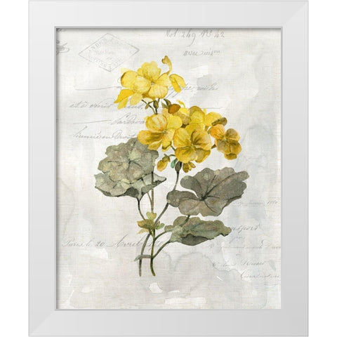 Canary Linen Geranium White Modern Wood Framed Art Print by Robinson, Carol