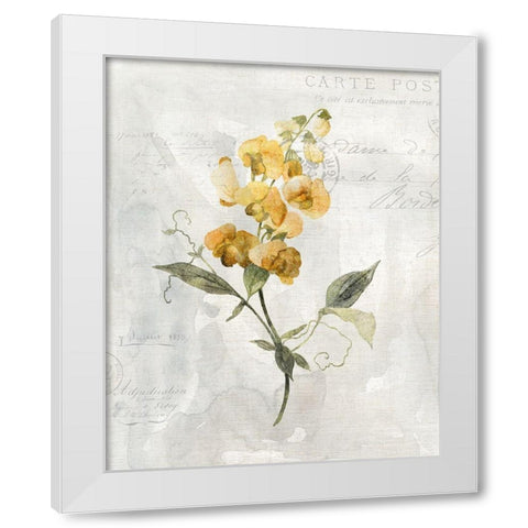 Canary Linen Sweetpea White Modern Wood Framed Art Print by Robinson, Carol
