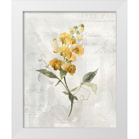 Canary Linen Sweetpea White Modern Wood Framed Art Print by Robinson, Carol