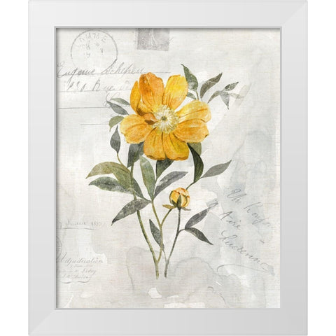 Canary Linen Peony White Modern Wood Framed Art Print by Robinson, Carol