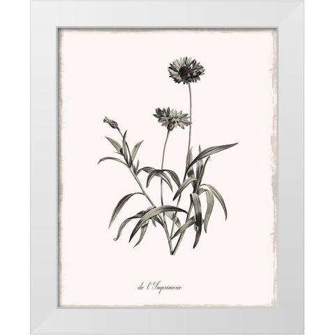 Sketchbook Imperial White Modern Wood Framed Art Print by Donovan, Kelly