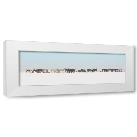 Big Sky Country White Modern Wood Framed Art Print by Delimont, Danita