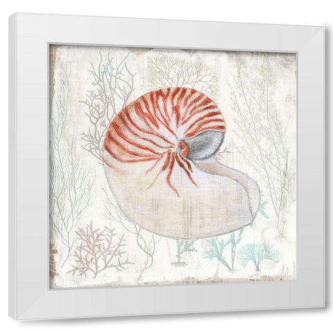 Coral and Shell I White Modern Wood Framed Art Print by Tava Studios