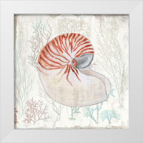 Coral and Shell I White Modern Wood Framed Art Print by Tava Studios