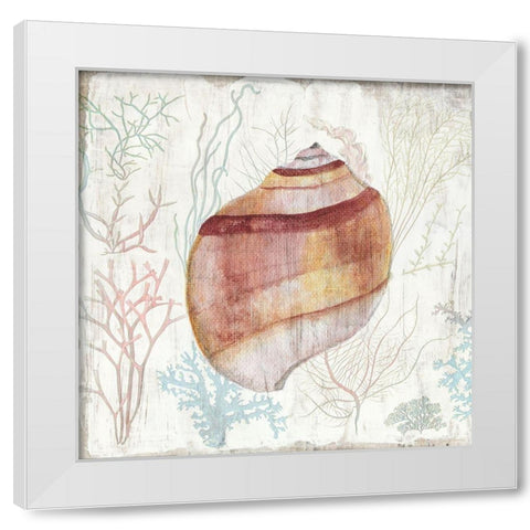 Coral and Shell II White Modern Wood Framed Art Print by Tava Studios